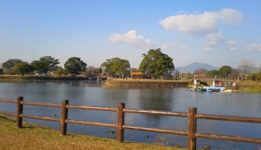 熊本県のバス釣りポイントまとめ！おすすめの人気釣り場を紹介